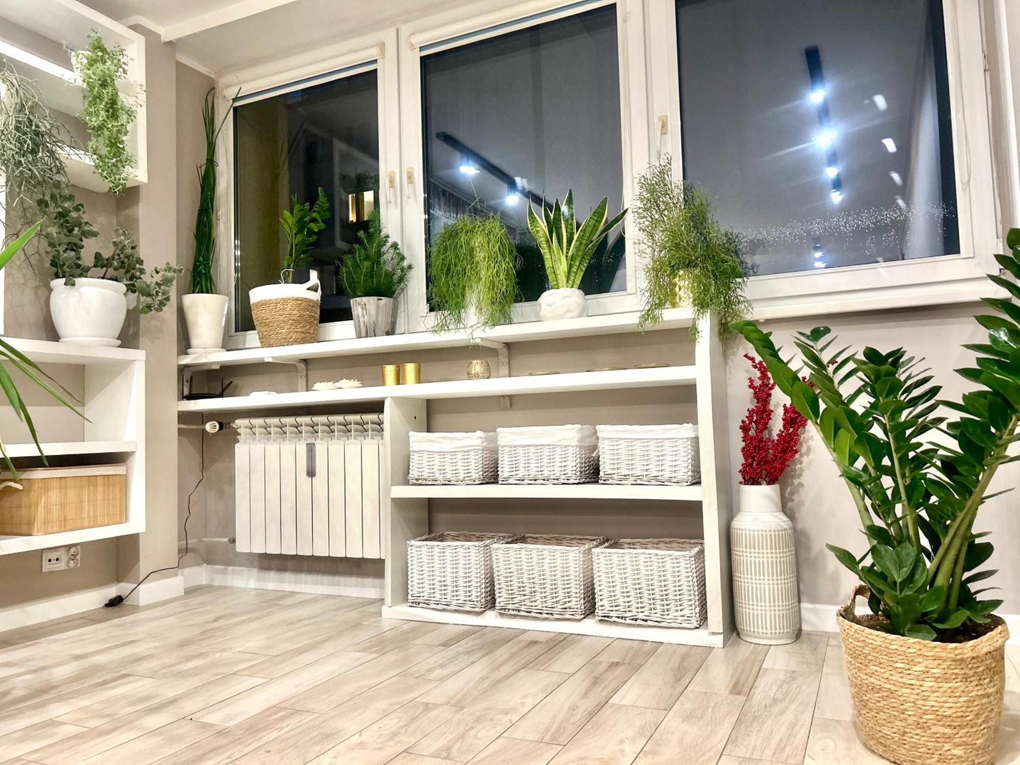 Stary Toruń Bhakti Apartament מראה חיצוני תמונה